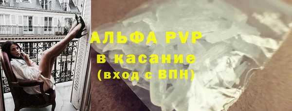 гашик Алексин