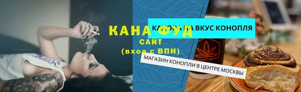 гашик Алексин