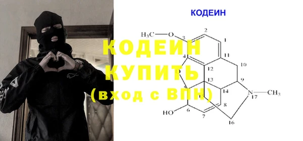 гашик Алексин