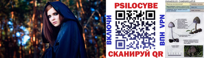 Галлюциногенные грибы мицелий  где продают наркотики  Братск 